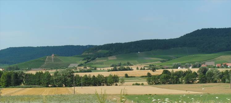 STEIGERWALD